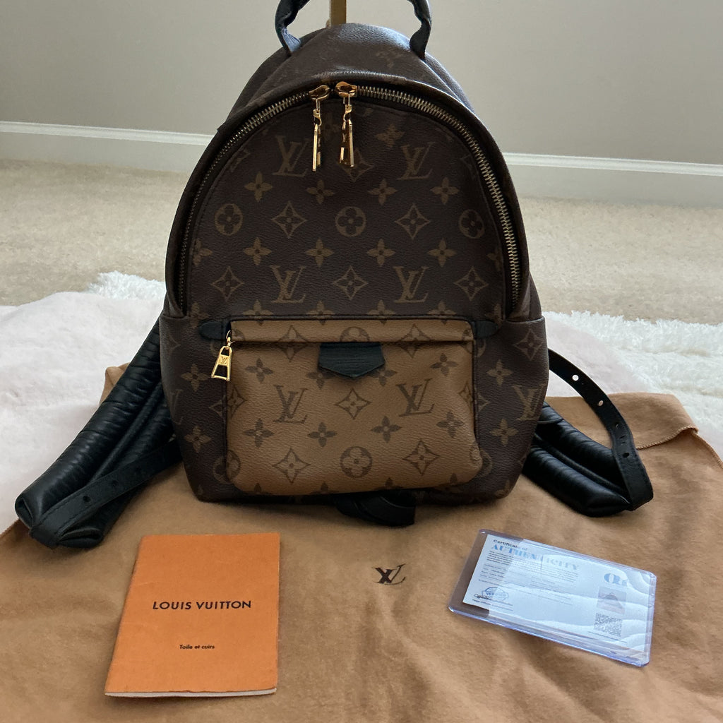 Louis Vuitton Palm Springs PM Backpack