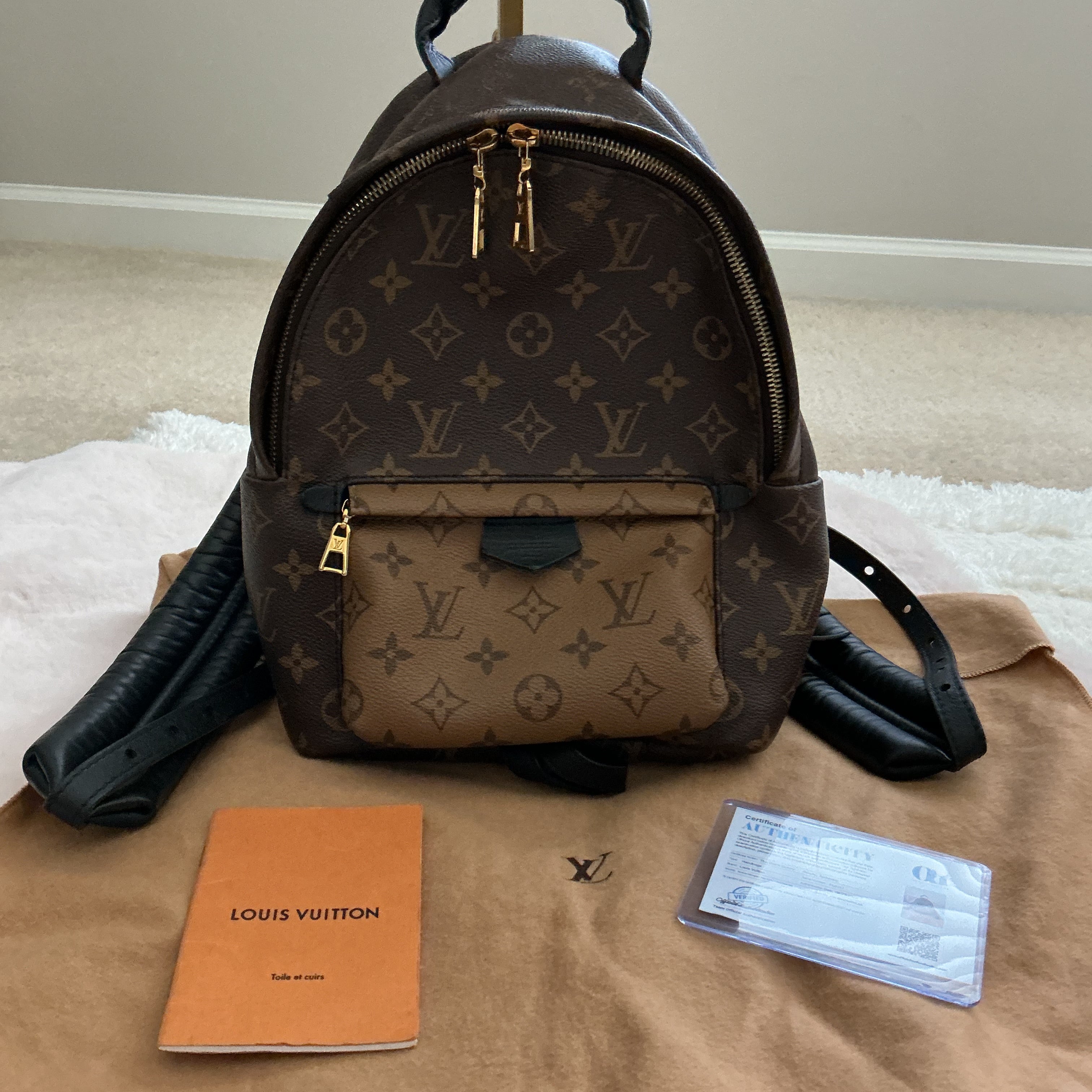 Louis Vuitton Palm Springs PM Backpack
