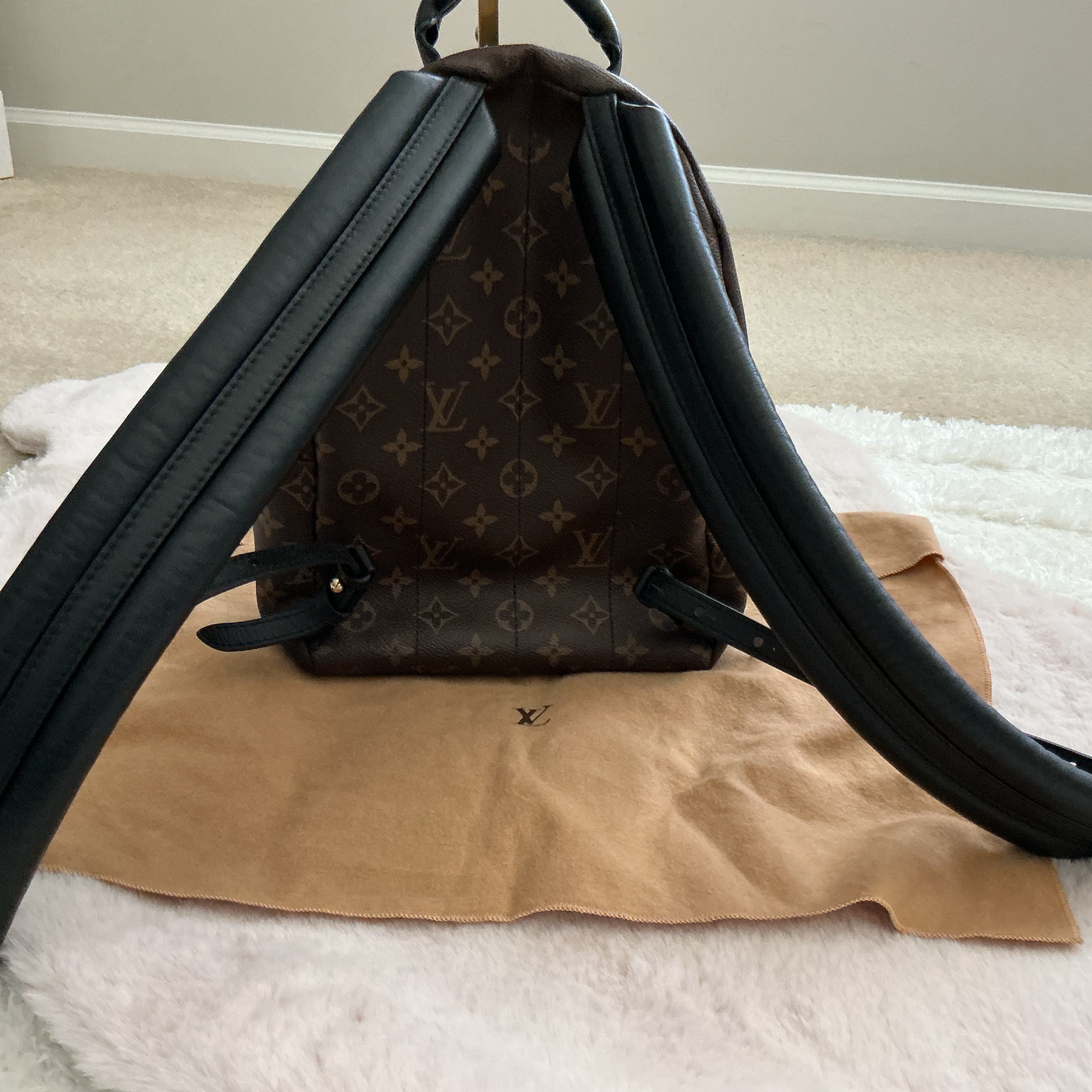 Louis Vuitton Palm Springs PM Backpack