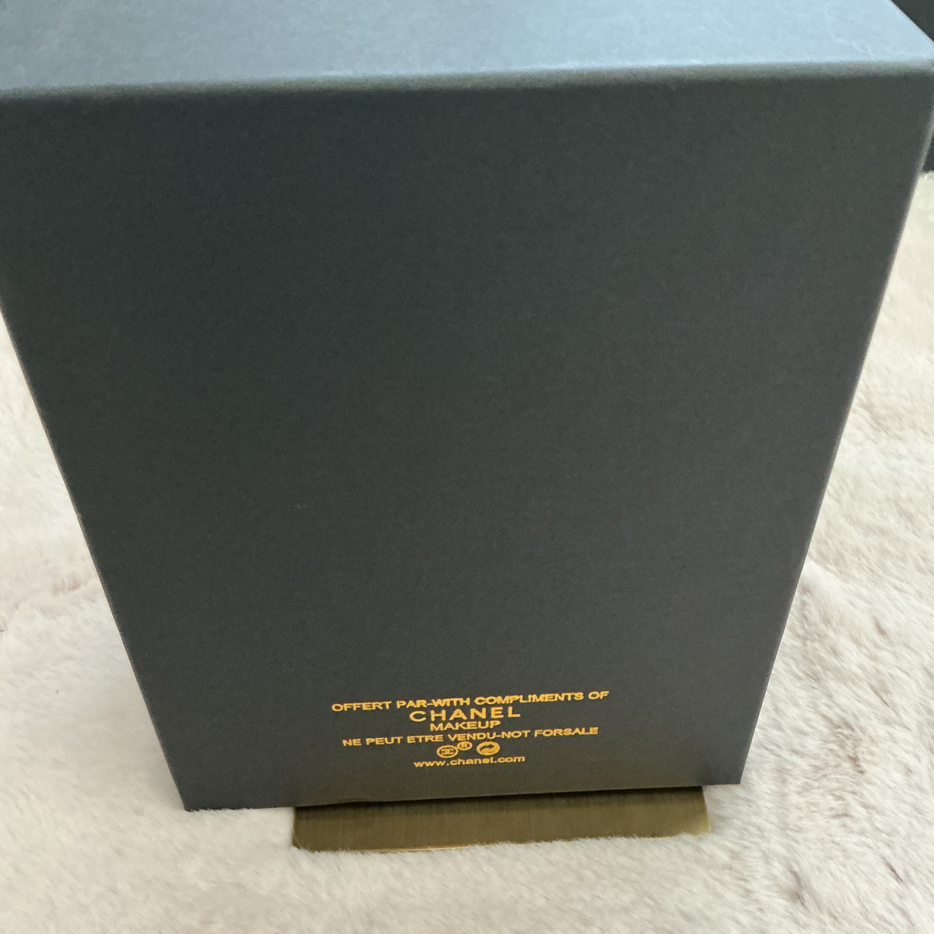 Chanel Makeup  Mini Backpack with Double Chain comes with Gift Box VIP ITEM